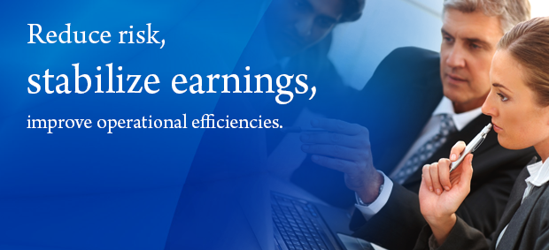 Reduce risk, stabilize earnings, improve operational efficiencies.